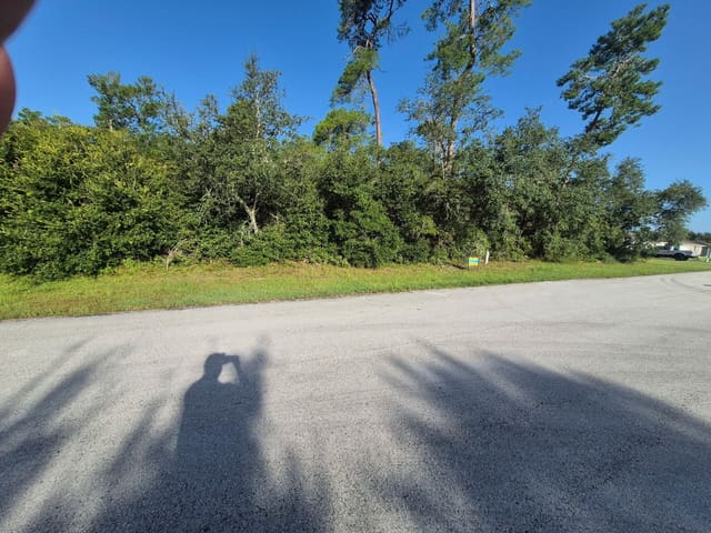00000 SW 40th Terrace Road, Marion Oaks, FL 34473