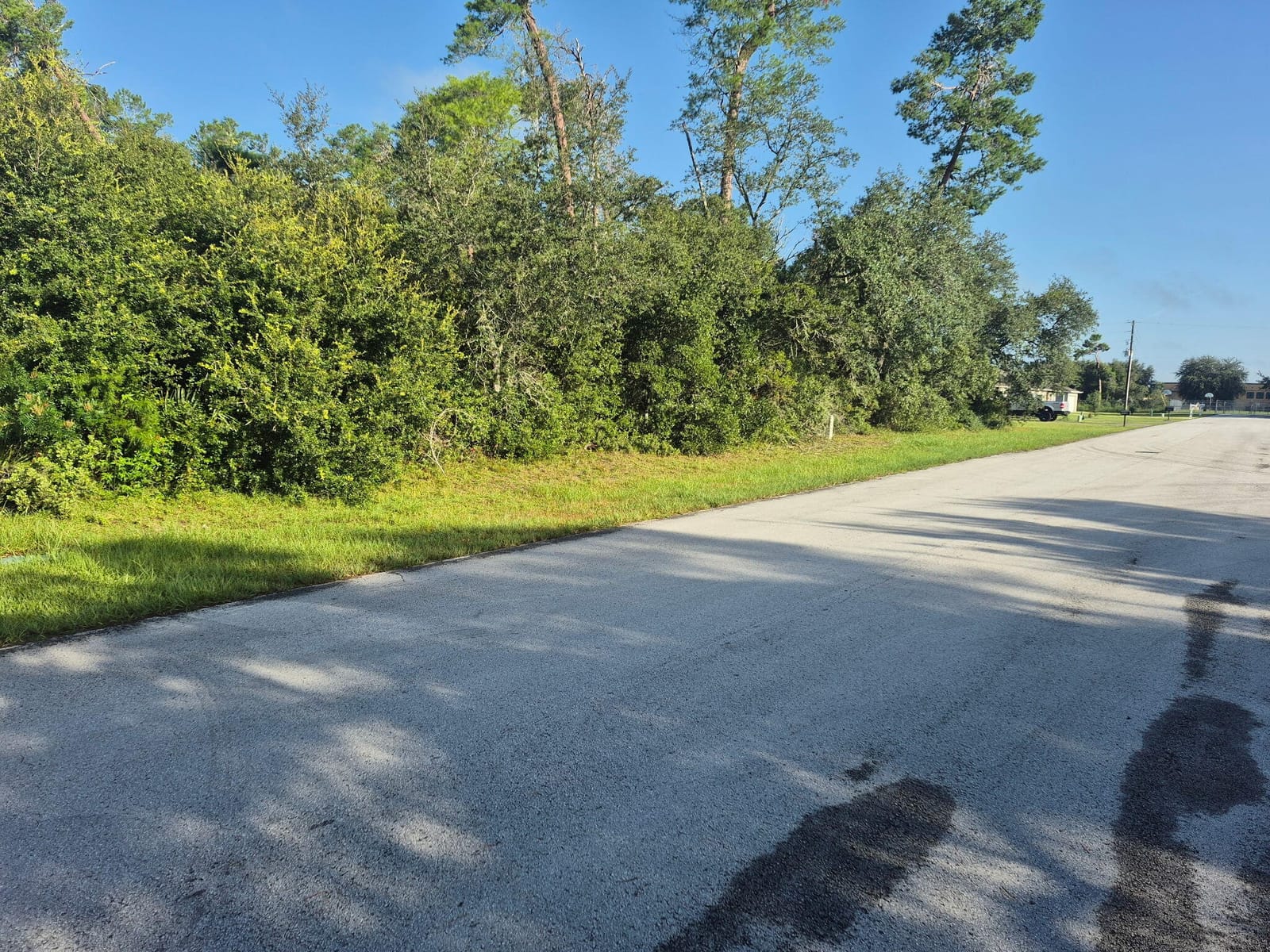00000 SW 40th Terrace Road, Marion Oaks, FL 34473 photo 4