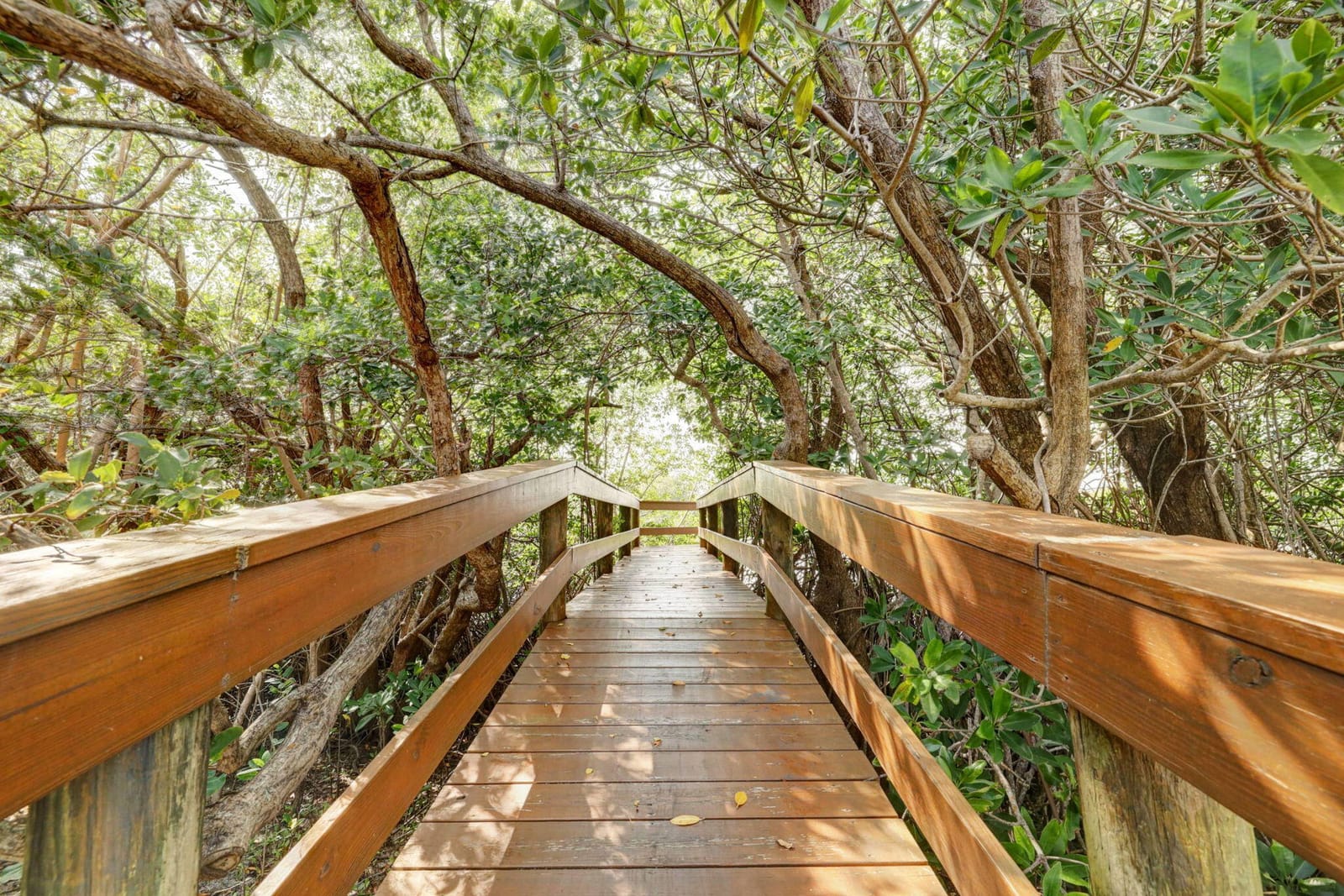 5059 N HIGHWAY A1A 206 — photo 2