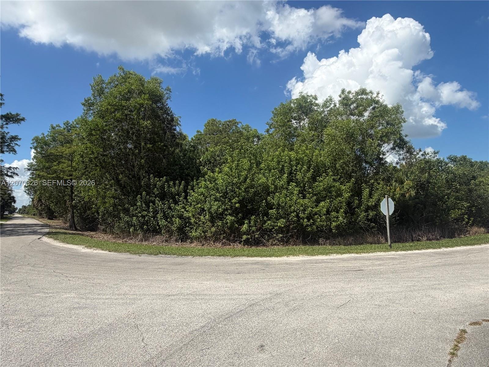 19556 Black Falcon Road — photo 2