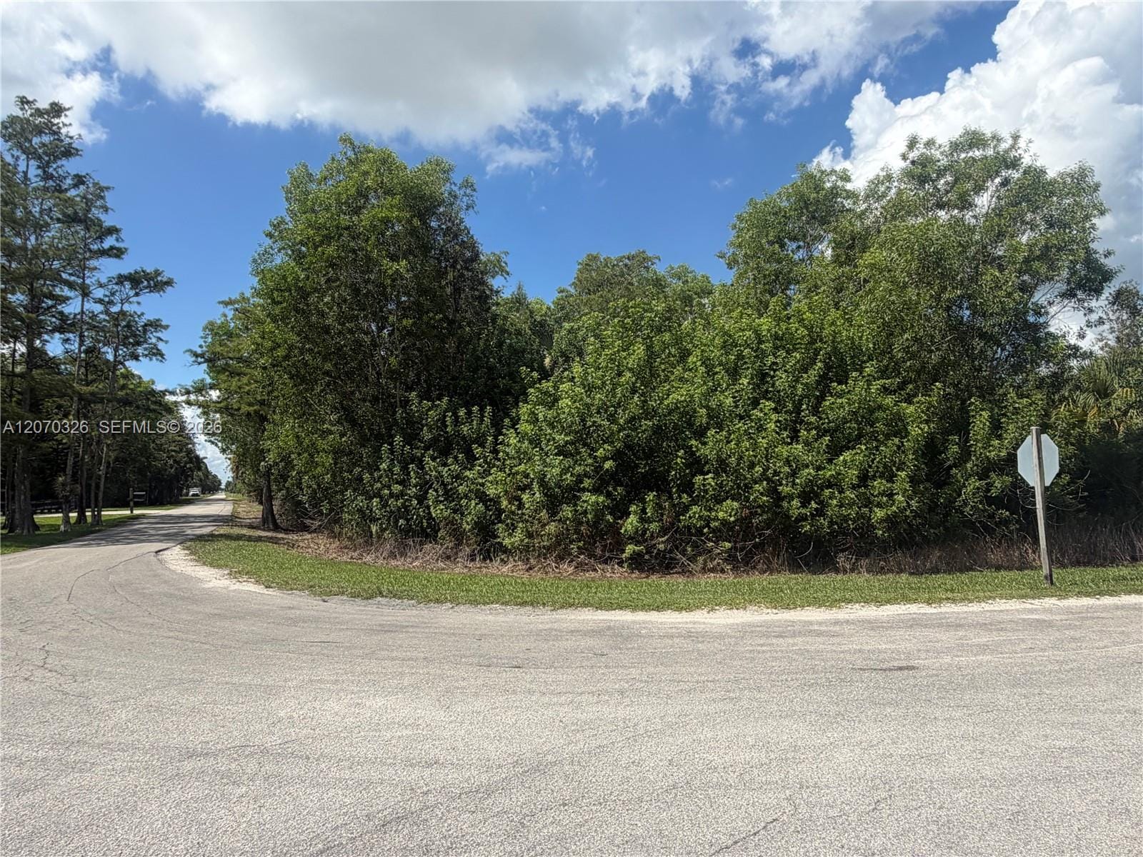 19556 Black Falcon Road — photo 3