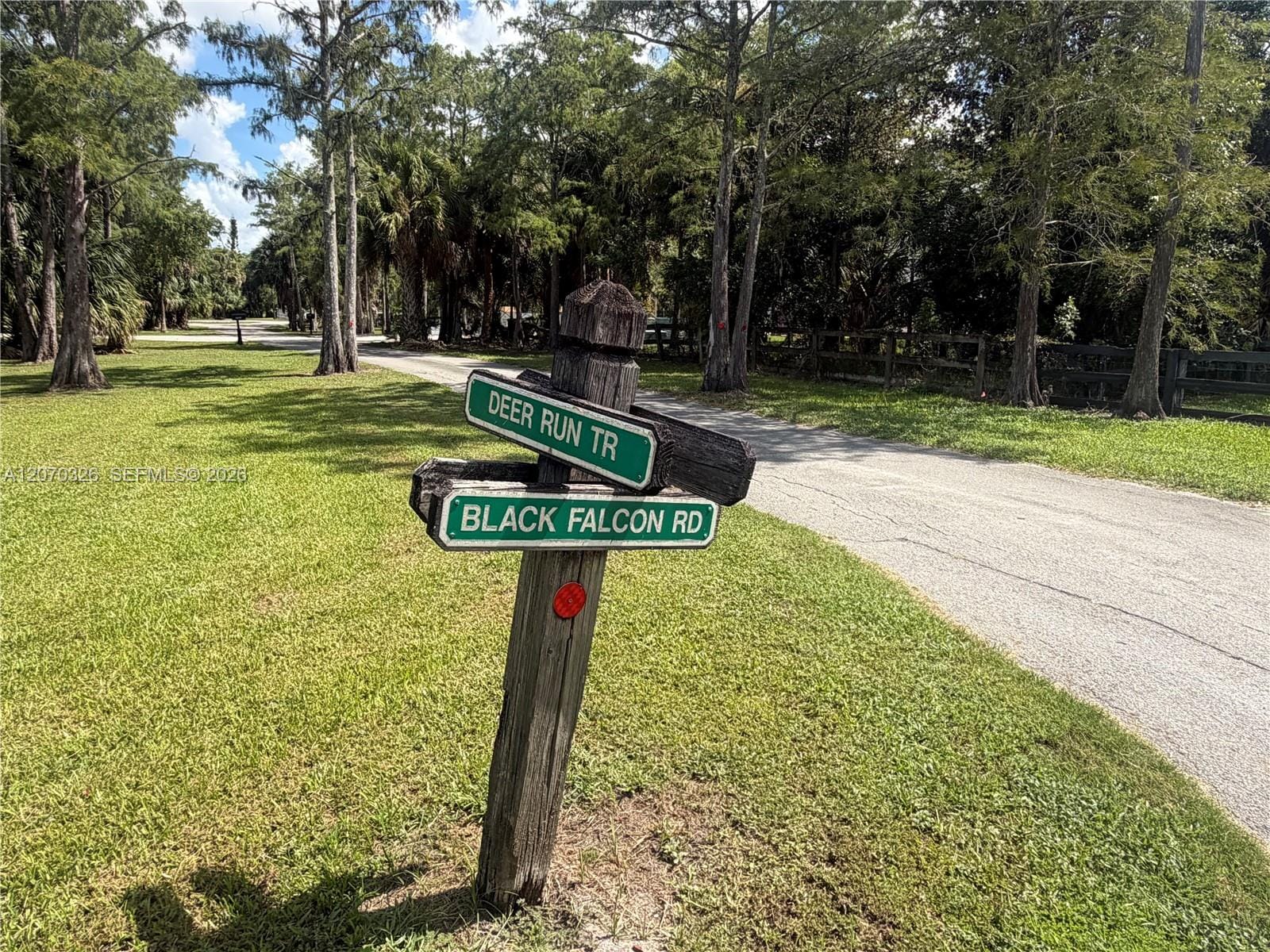 19556 Black Falcon Road — photo 4
