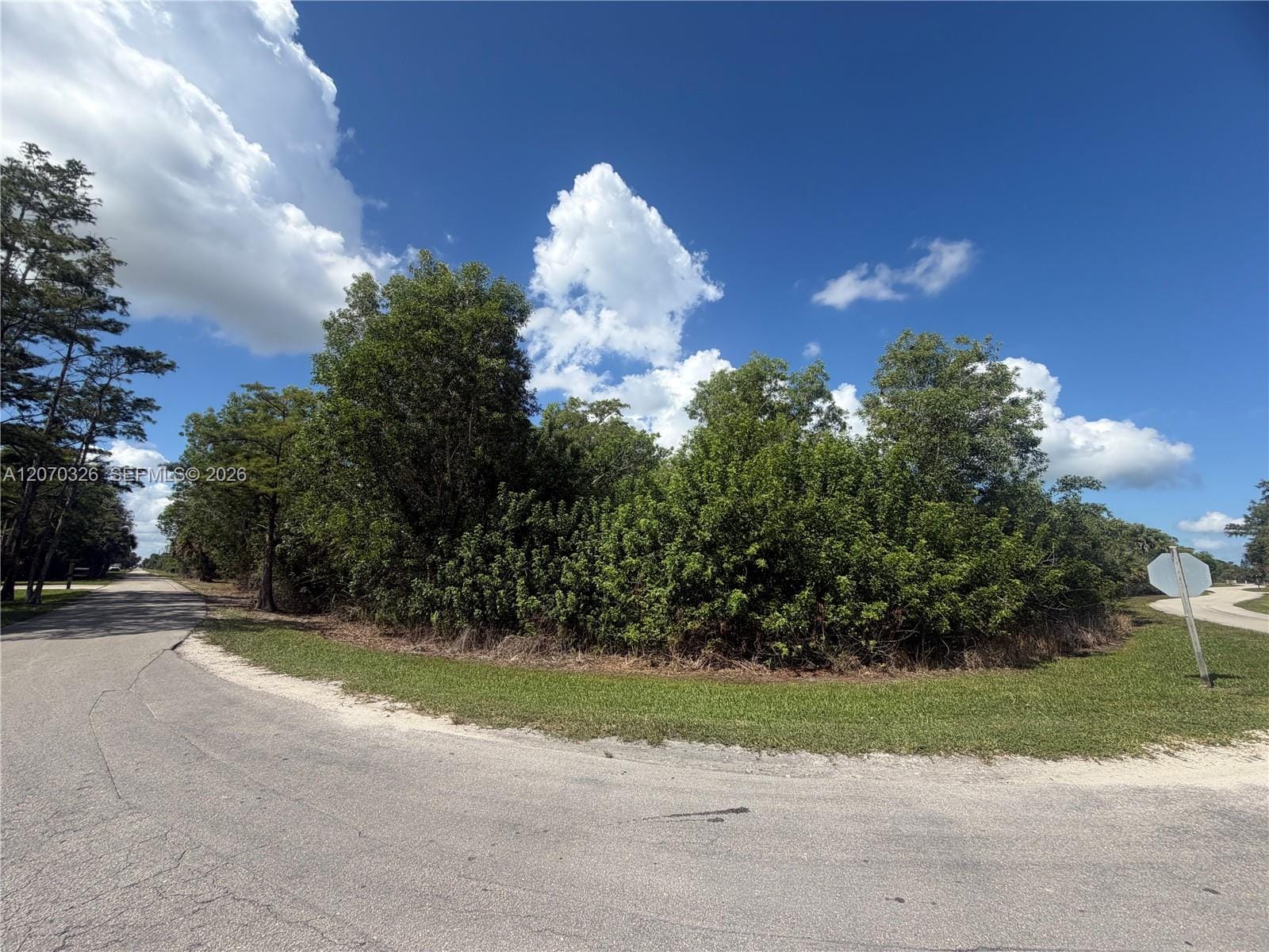 19556 Black Falcon Road — photo 6