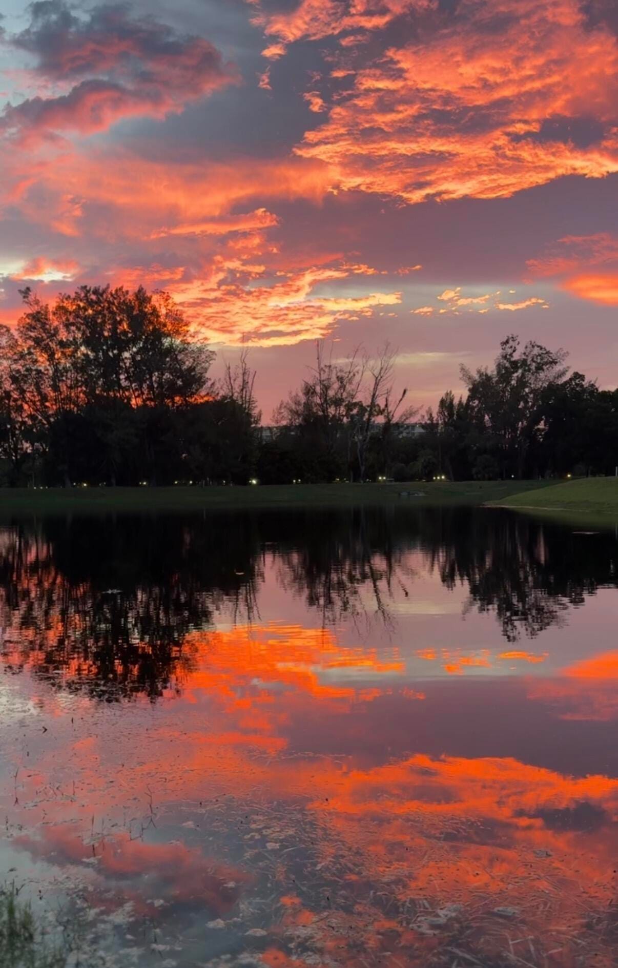 3080 N Course Drive 407, Pompano Beach, FL 33069 photo 16