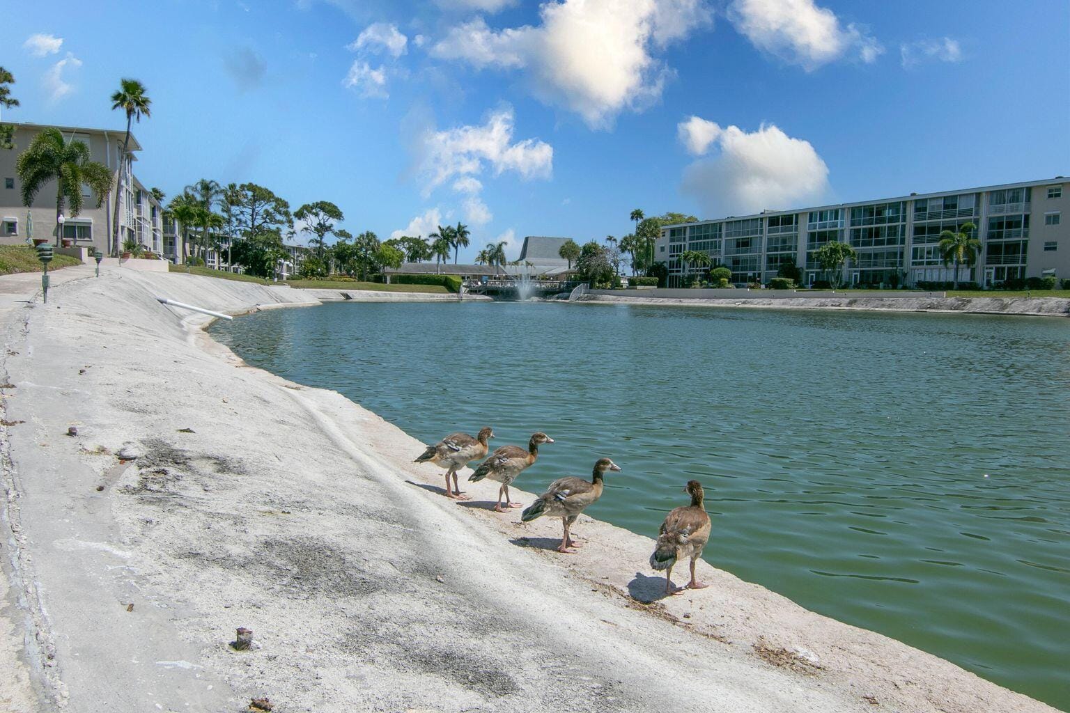 2812 Garden Drive S 101, Lake Worth Beach, FL 33461 photo 17