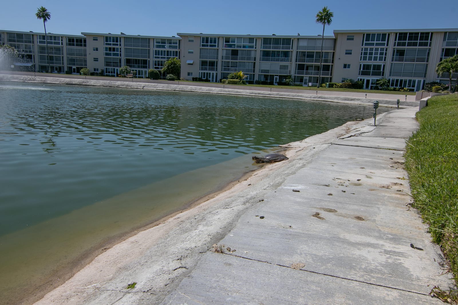 2812 Garden Drive S 101, Lake Worth Beach, FL 33461 photo 18