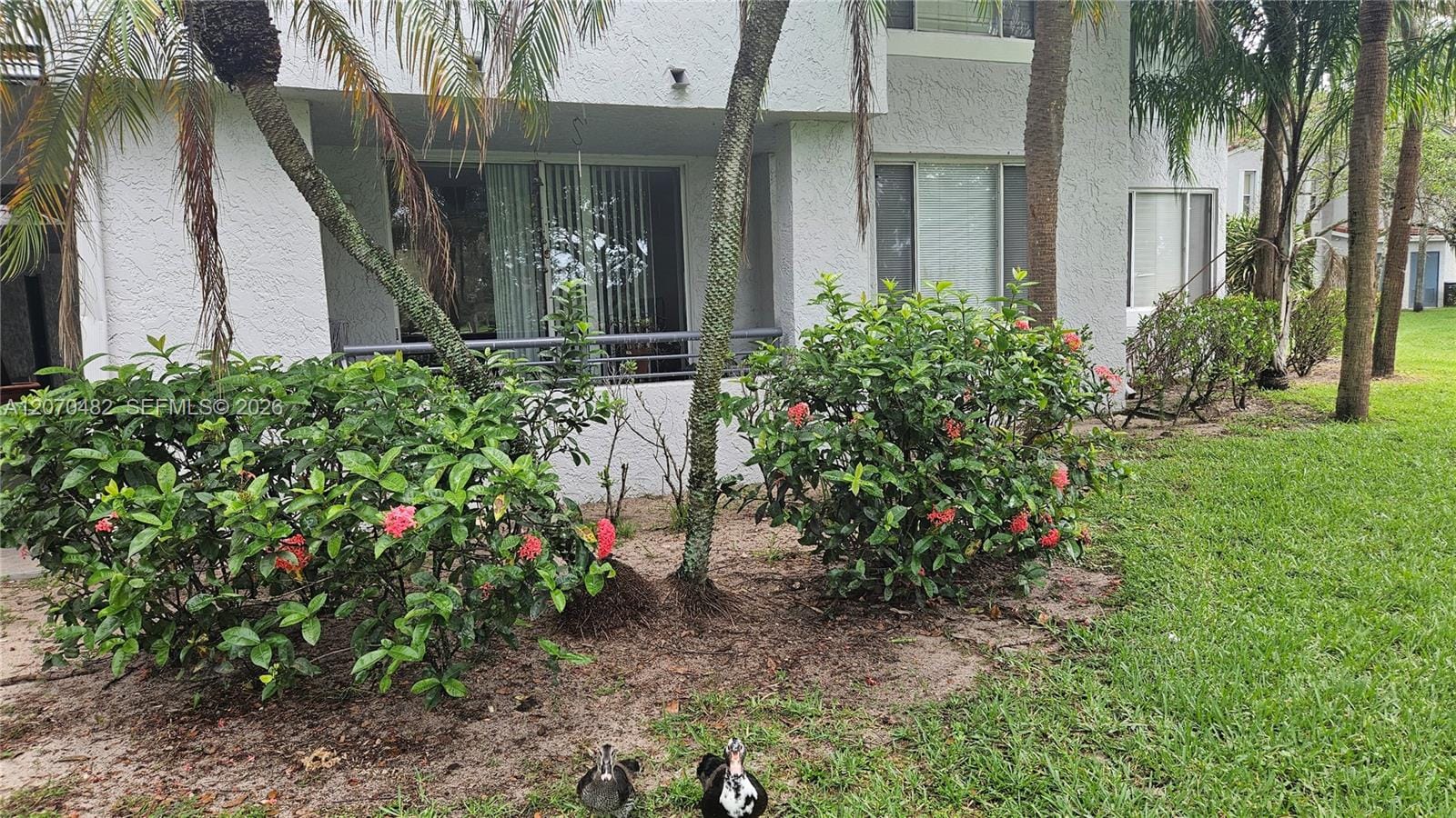 931 Lyons Road 4102 — photo 8