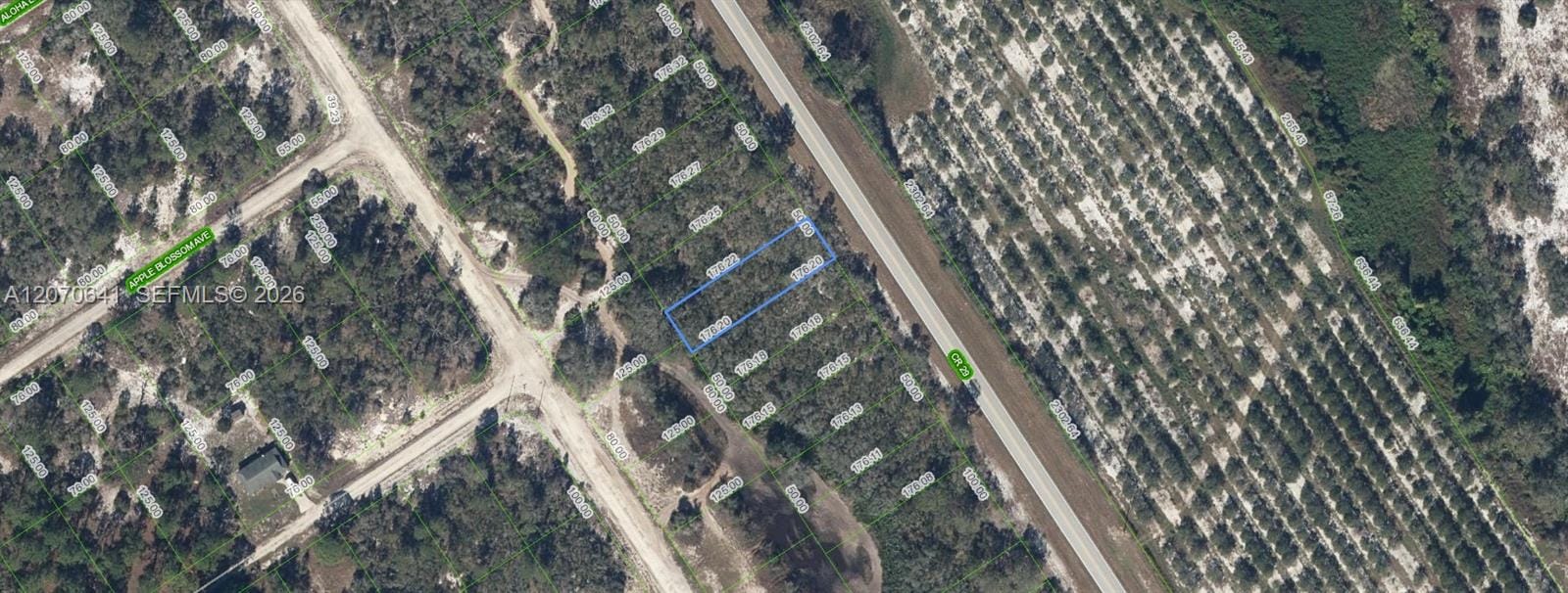 903 County Road 29, Lake Placid, FL 33852