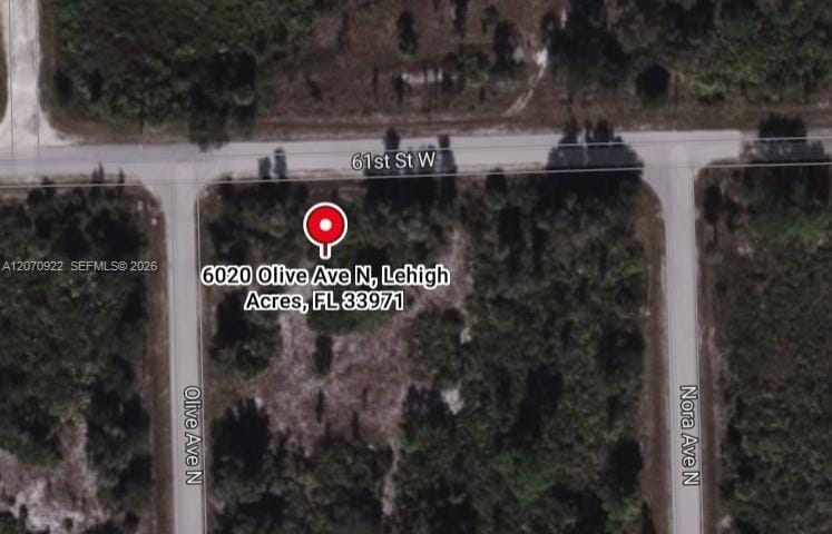 6020 Olive Avenue N, Lehigh Acres, FL 33971