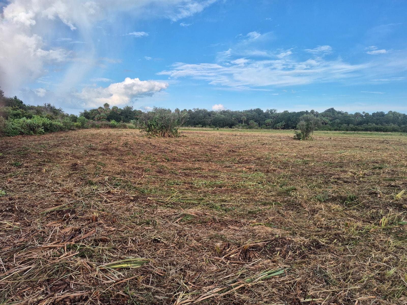 15790 NW 284TH Street, Okeechobee, FL 34972 photo 10