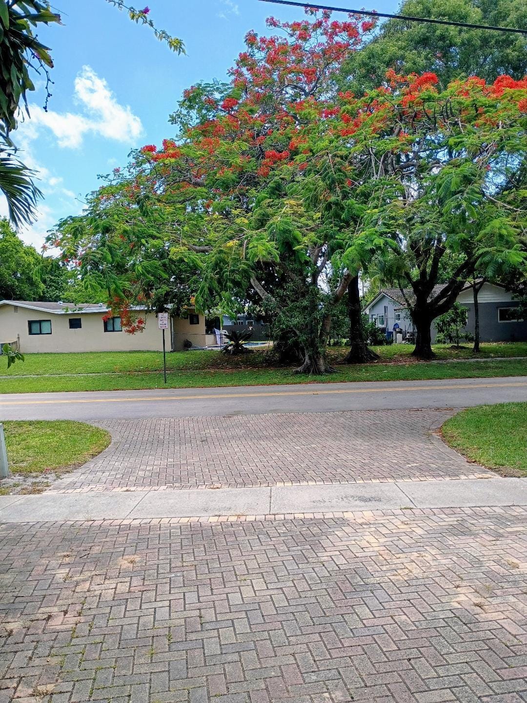1160 RENMAR Drive — photo 3
