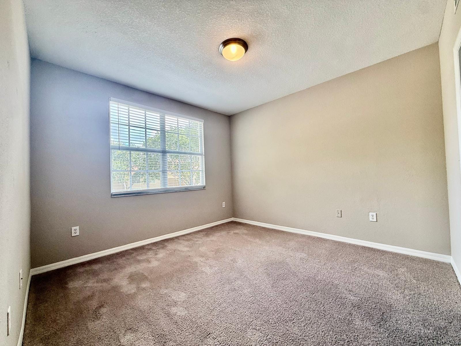 15145 Michelangelo Boulevard 201 — photo 4