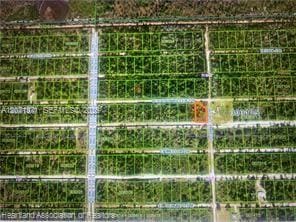 301 Bougainville Drive, Lake Wales, FL 33898