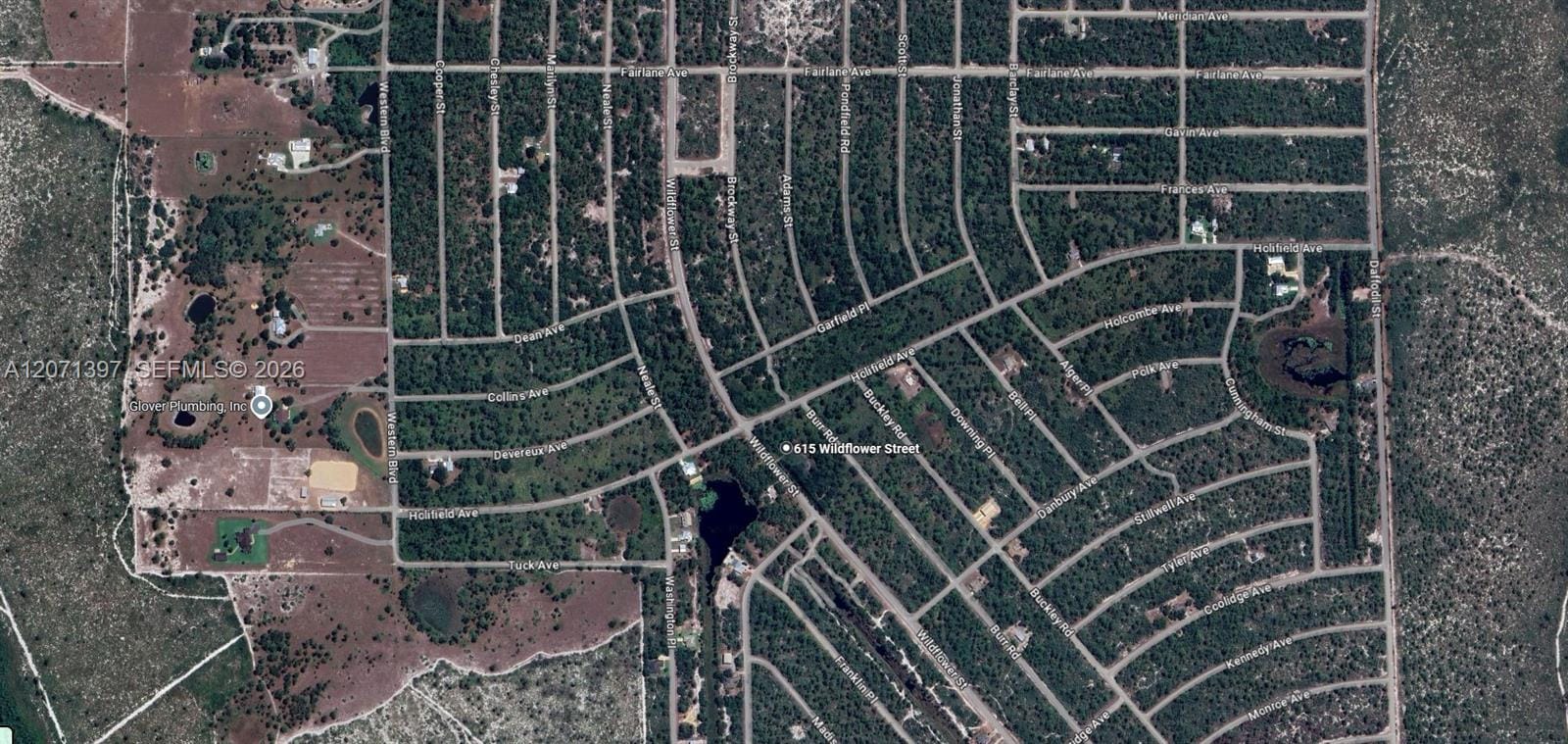 615 Wildflower Street, Lake Placid, FL 33852 photo 13
