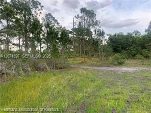 615 Wildflower Street, Lake Placid, FL 33852 photo 14
