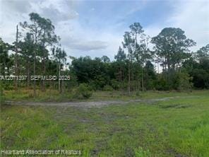 615 Wildflower Street, Lake Placid, FL 33852 photo 15