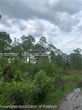 615 Wildflower Street, Lake Placid, FL 33852 photo 16