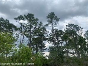 615 Wildflower Street, Lake Placid, FL 33852 photo 17