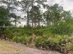 615 Wildflower Street, Lake Placid, FL 33852 photo 18