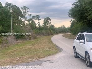 615 Wildflower Street, Lake Placid, FL 33852 photo 3