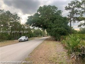615 Wildflower Street, Lake Placid, FL 33852 photo 5