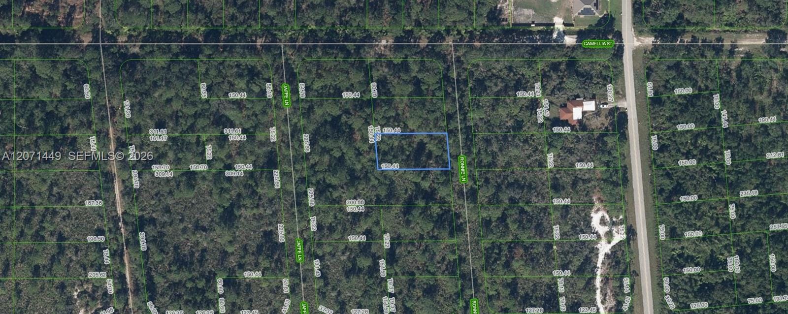 722 Ronnie Lane, Lake Placid, FL 33852