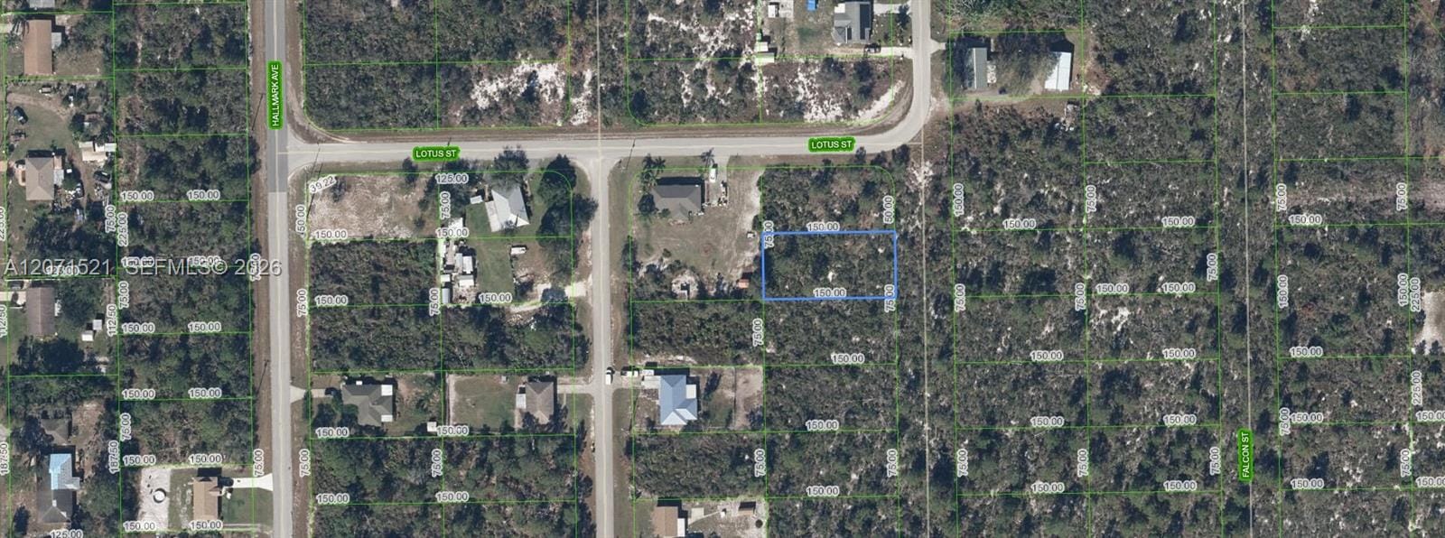 348 Sandpiper Street, Lake Placid, FL 33852
