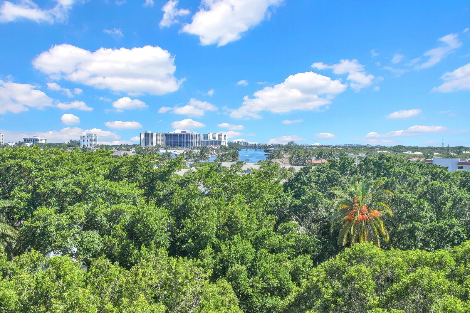 859 Jeffery Street 7050, Boca Raton, FL 33487 photo 23