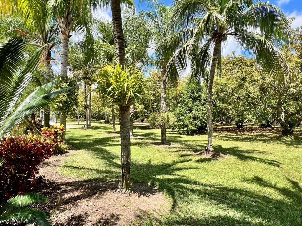 19345 SW 240th Street, Homestead, FL 33031 photo 17