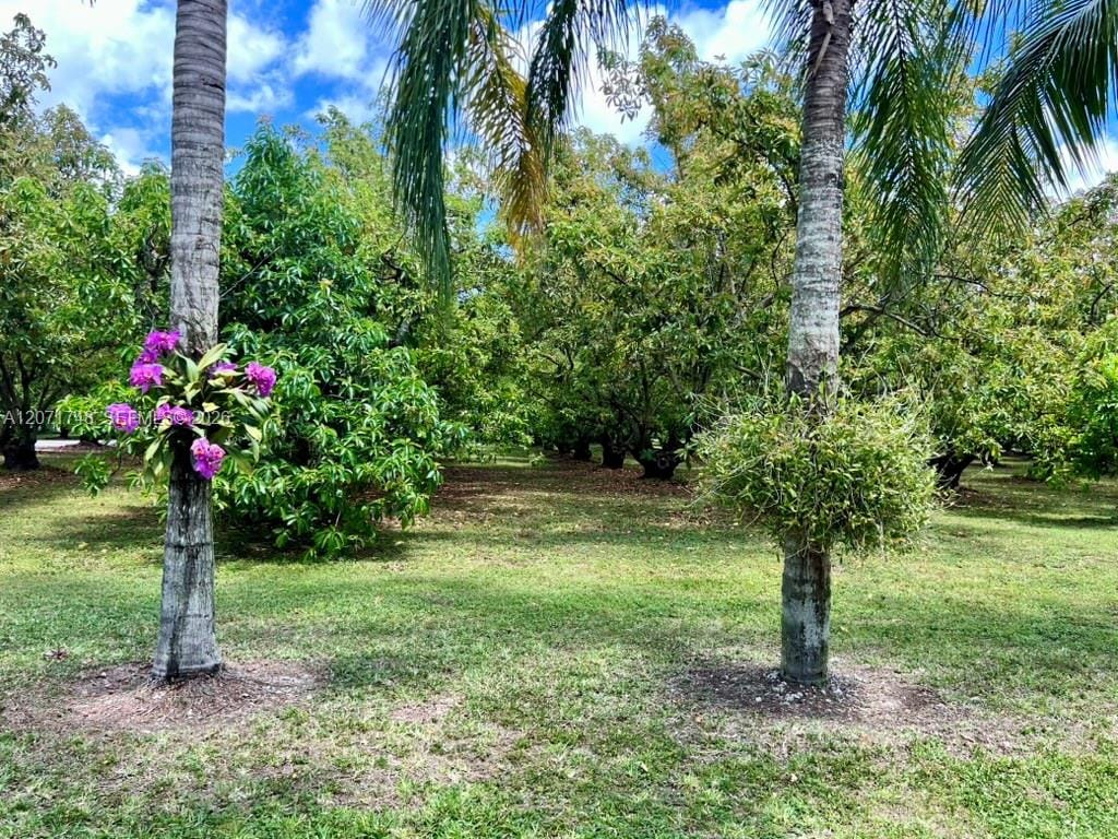 19345 SW 240th Street, Homestead, FL 33031 photo 20