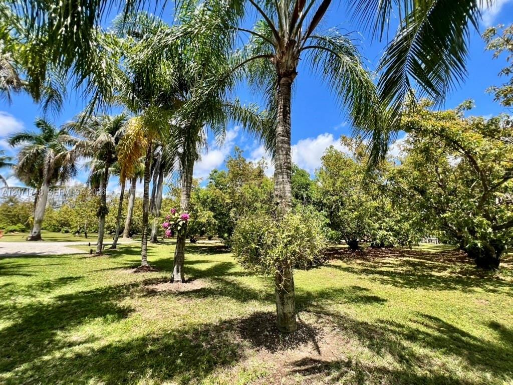 19345 SW 240th Street, Homestead, FL 33031 photo 26