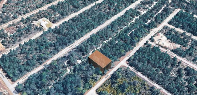 955 Ridge Street, Lake Placid, FL 33852
