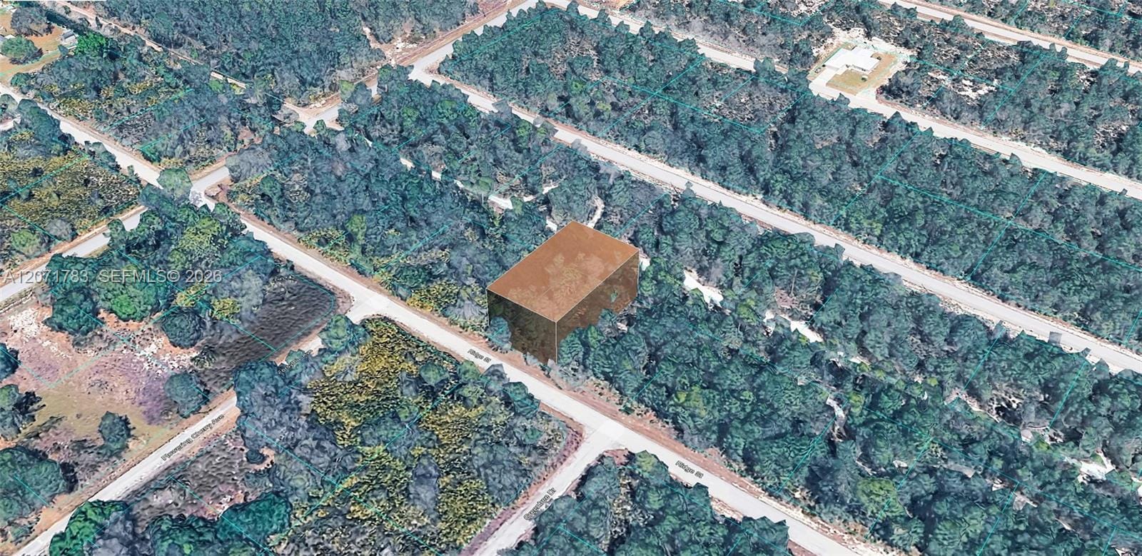 955 Ridge Street, Lake Placid, FL 33852 photo 2