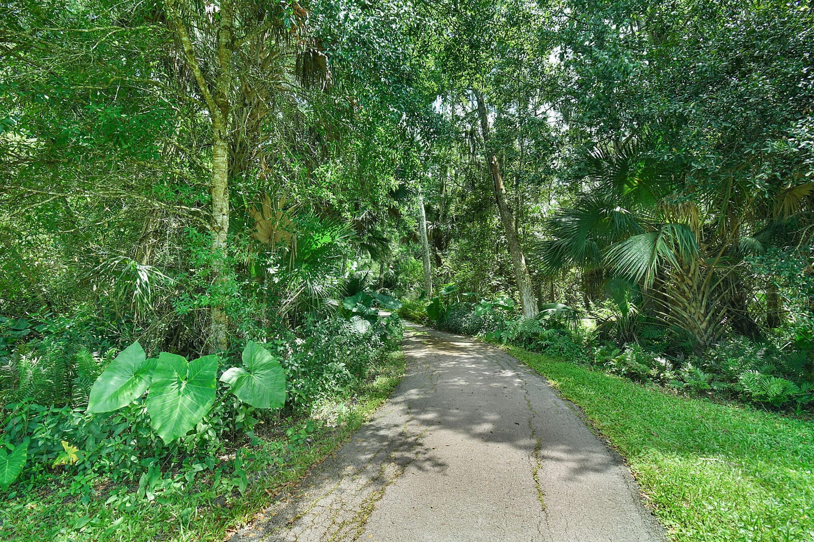 17475 Hammock Lane — photo 3