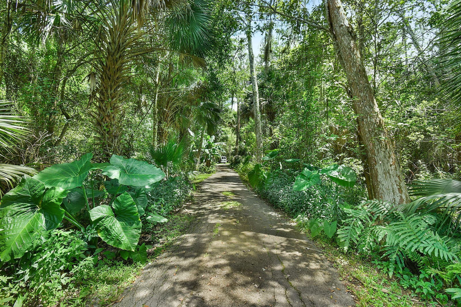 17475 Hammock Lane — photo 4