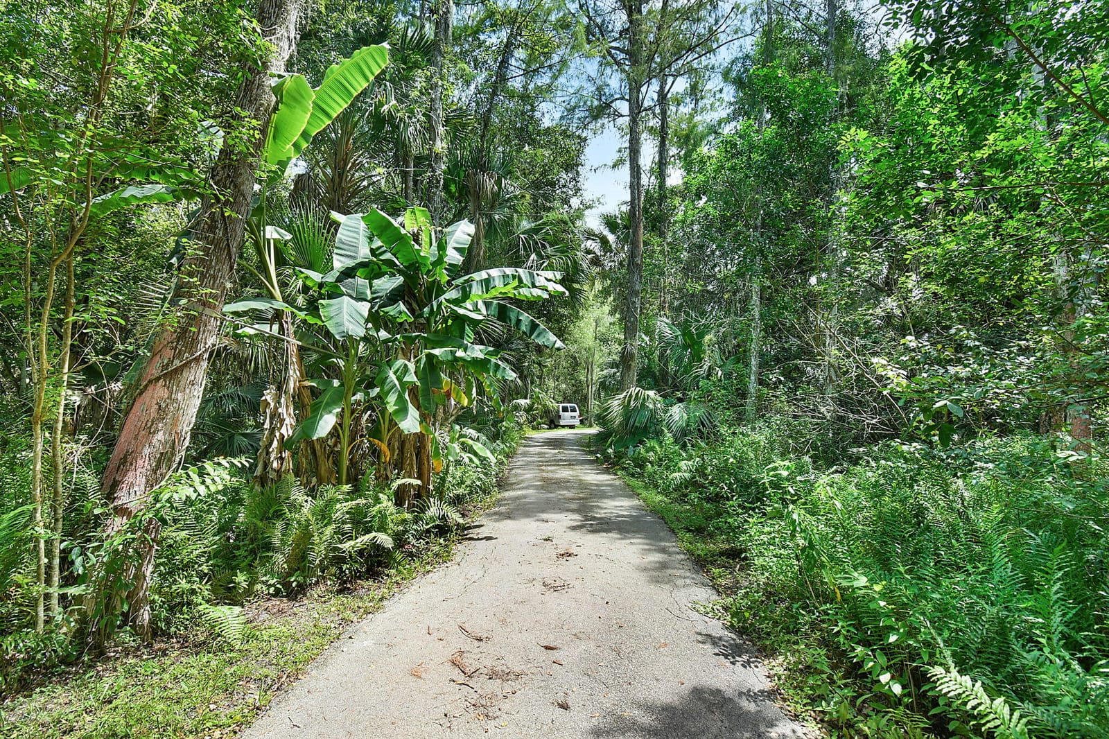 17475 Hammock Lane — photo 5