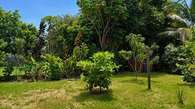 716 SW 19th Street, Fort Lauderdale, FL 33315 photo 17