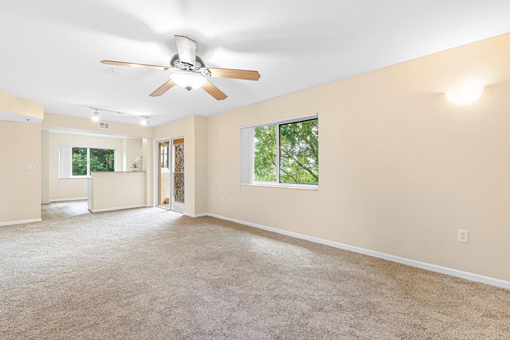 900 Scotia Drive 206 — photo 5
