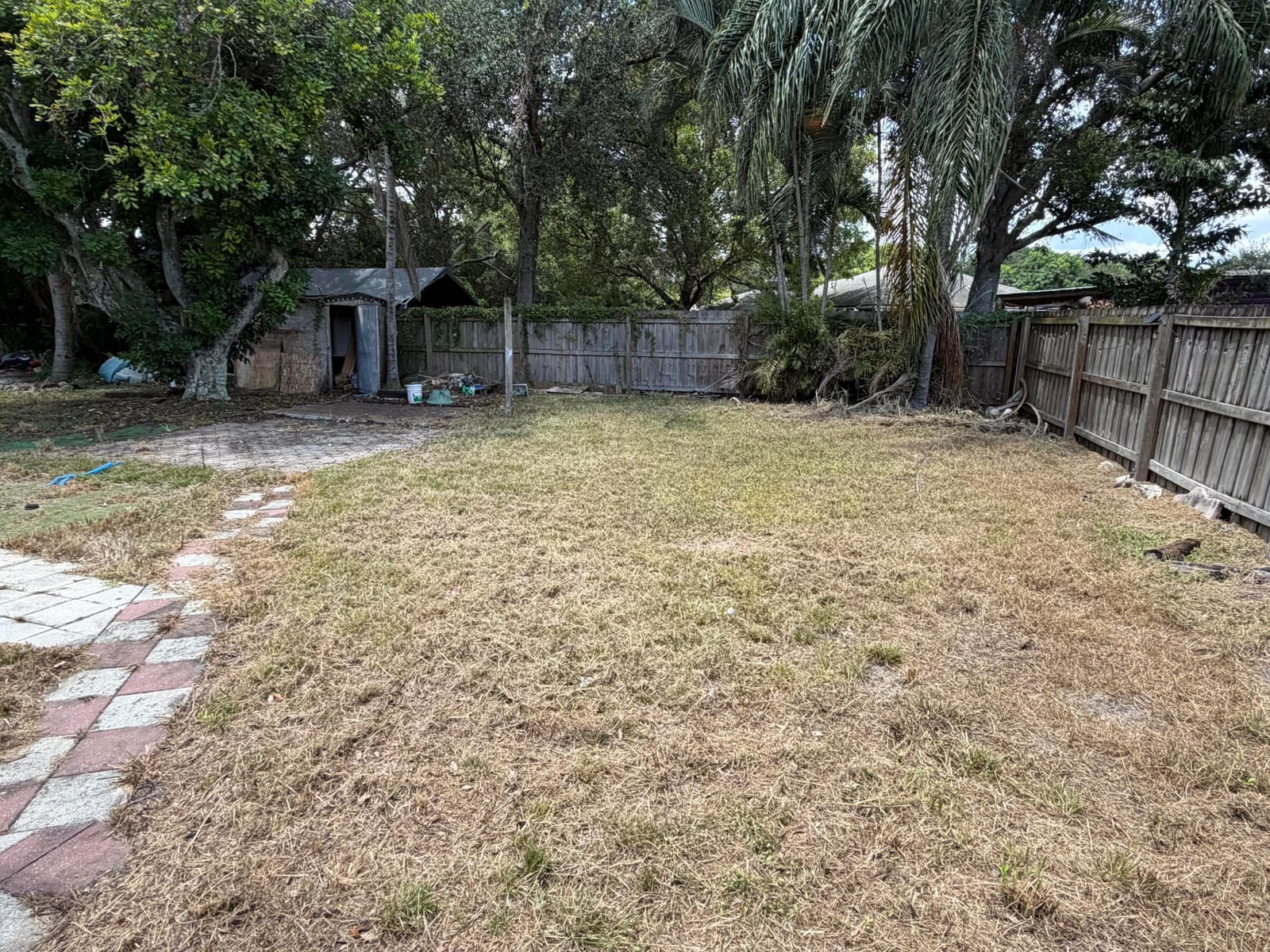 17359 SAPP Place — photo 12
