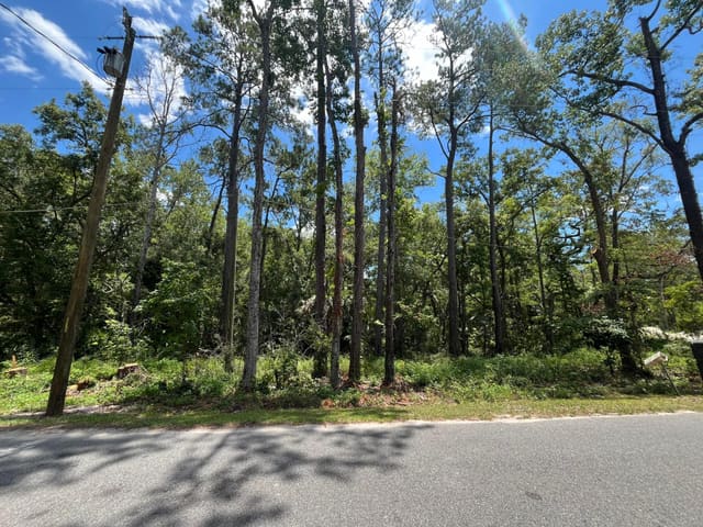 Tbd FRANKLIN Drive, Crawfordville, FL 32327