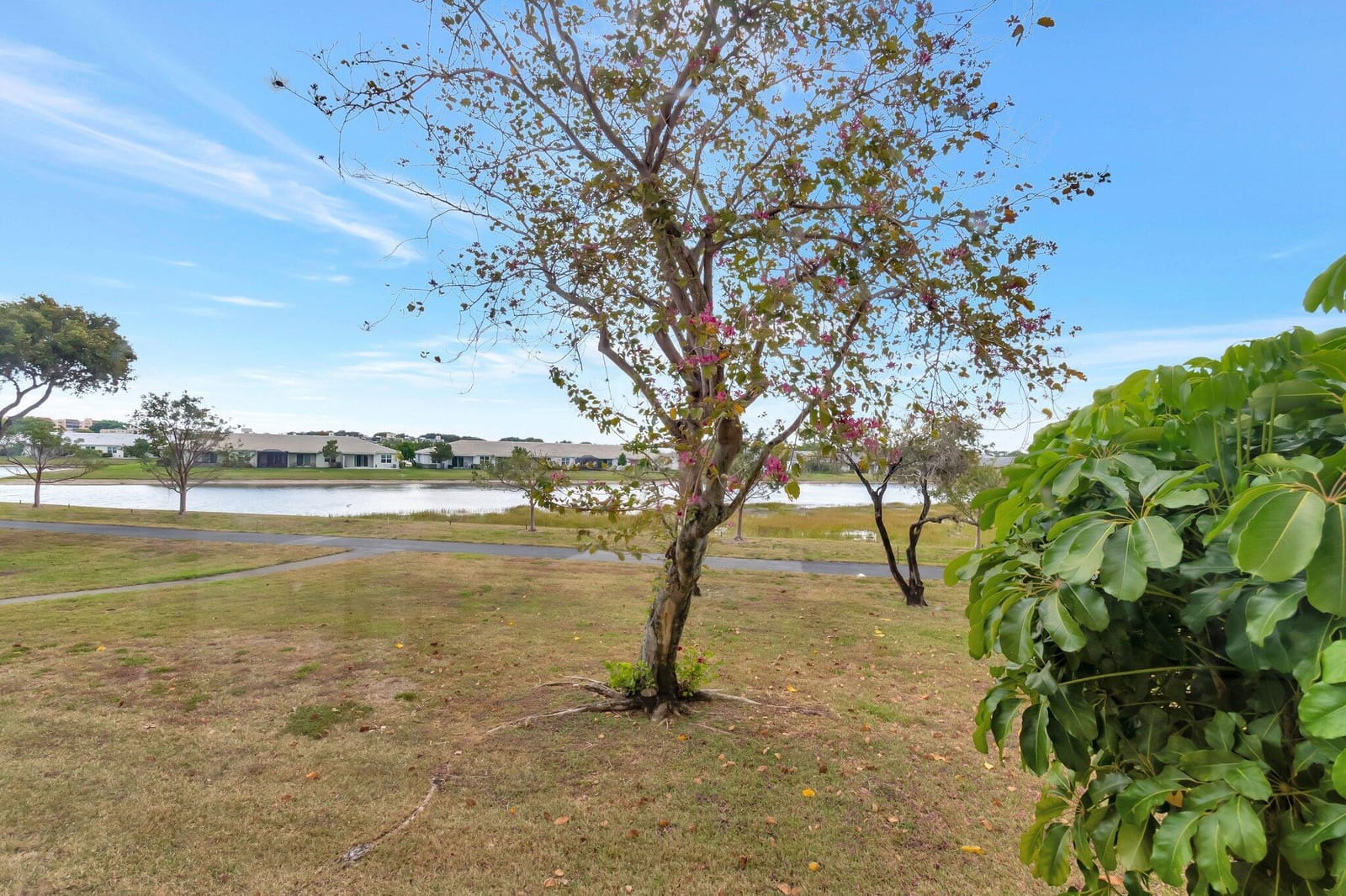 7240 Huntington Lane 202, Delray Beach, FL 33446 photo 23