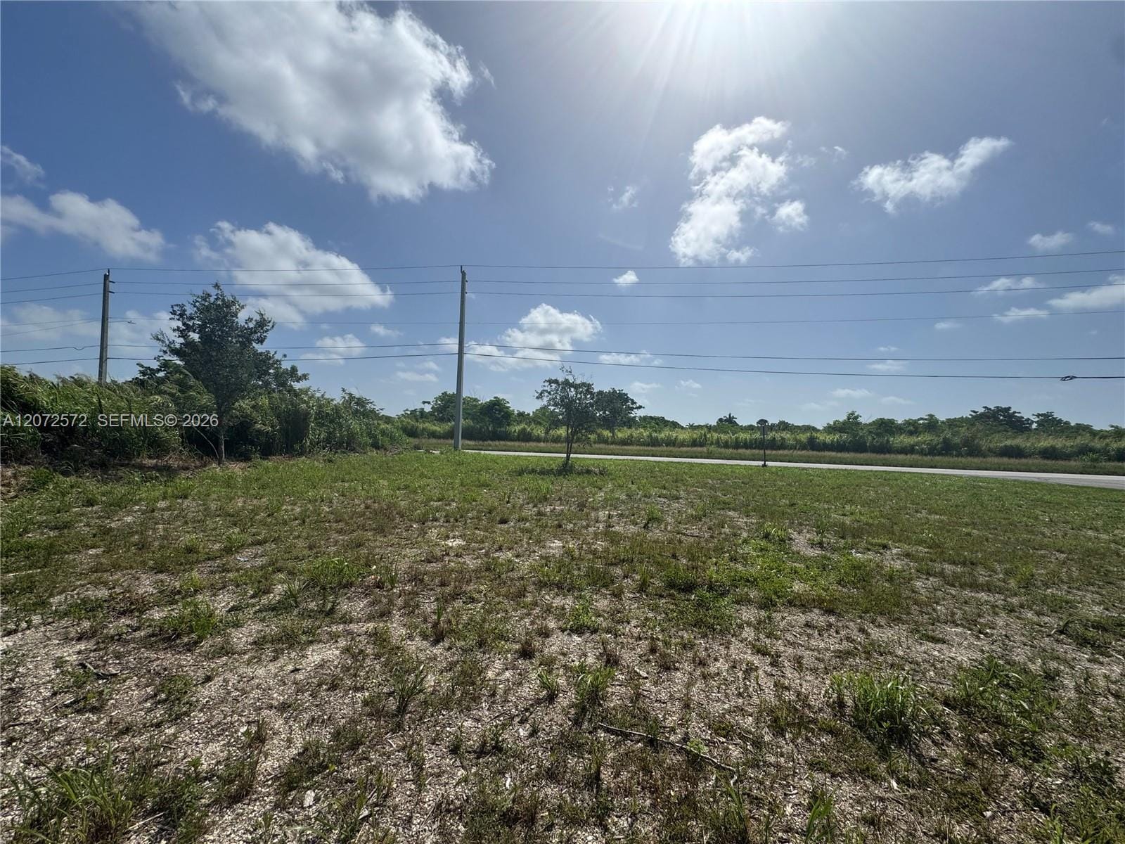 11703 SW 226 Terrace — photo 4