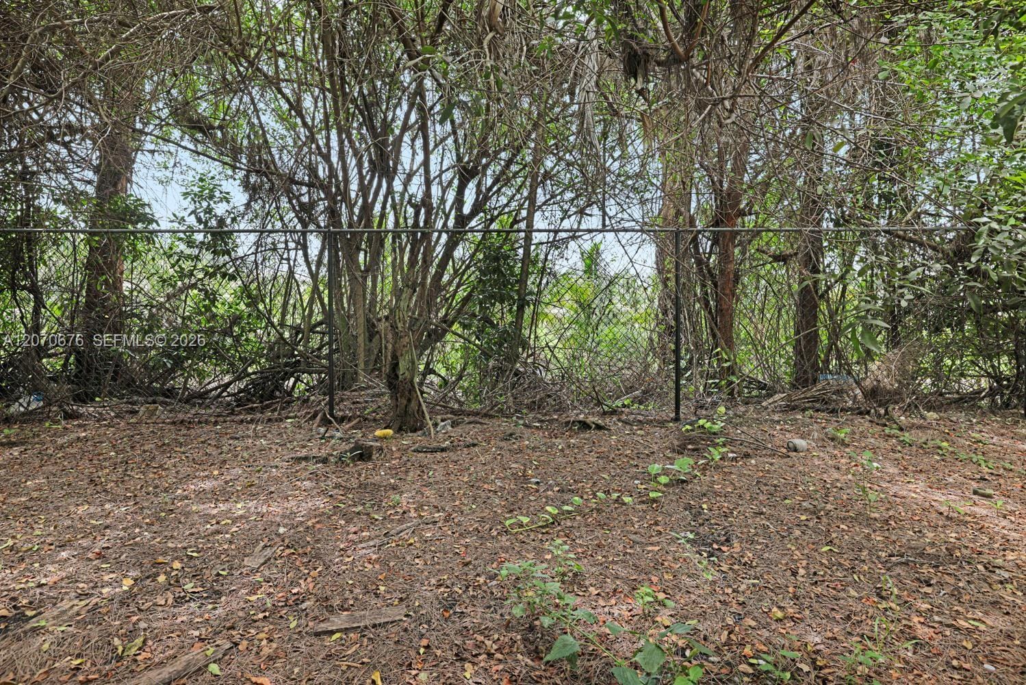 1700 SE 31st Court, Homestead, FL 33035 photo 20