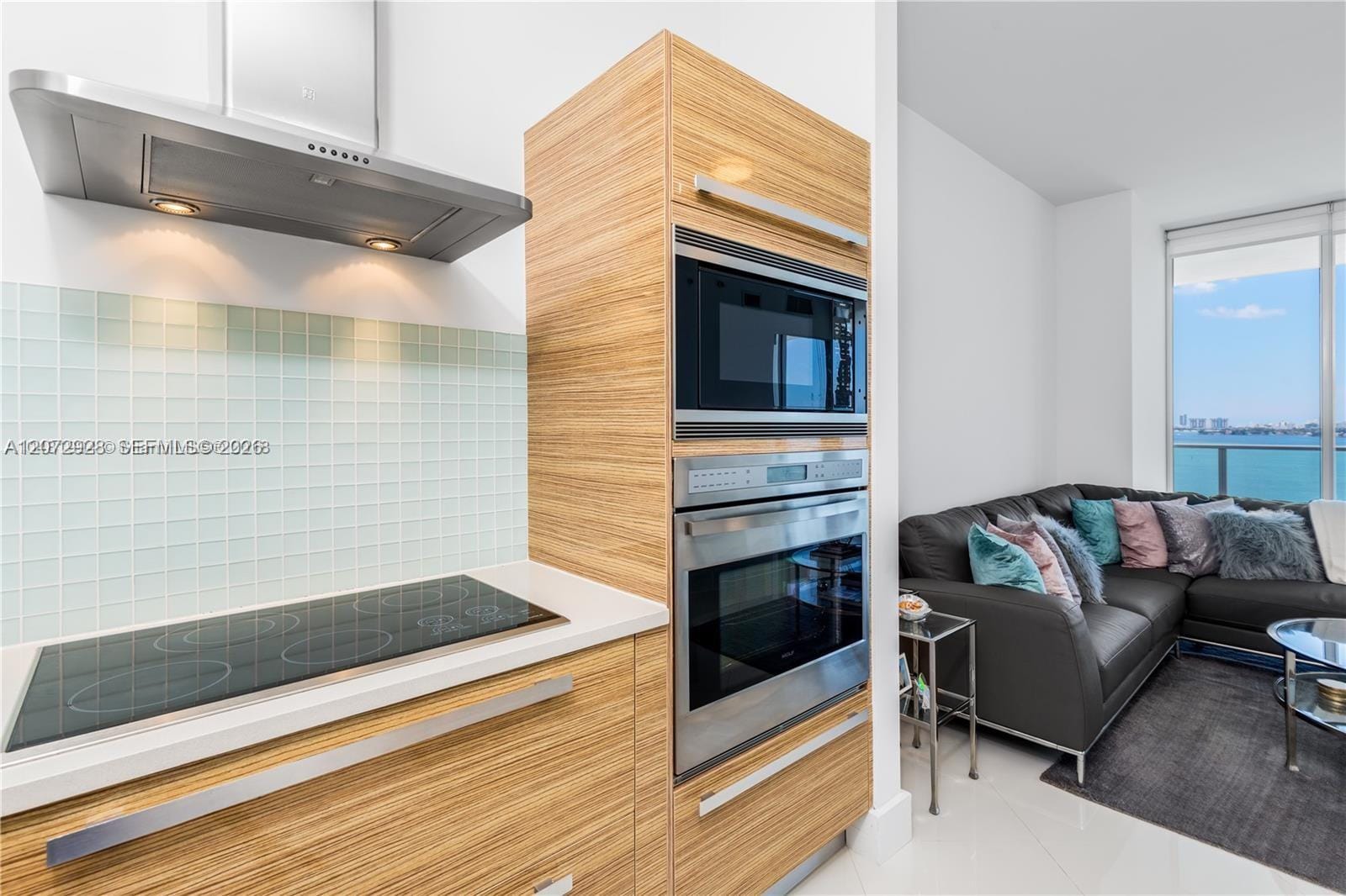2020 N Bayshore Drive 1009, Miami, FL 33137 photo 4