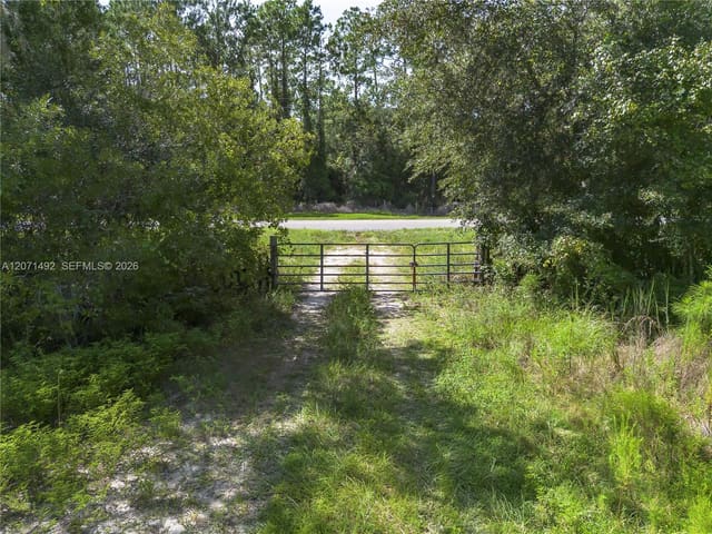 1369 Water Oak, FL 32110