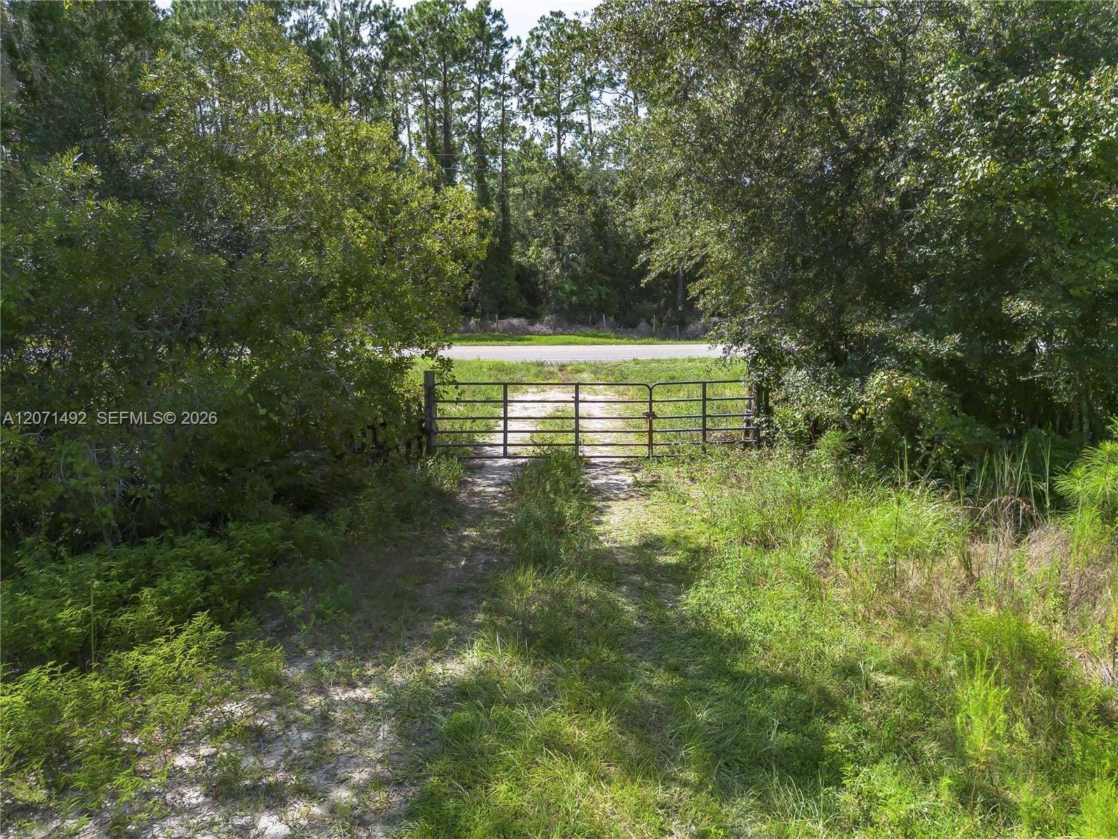 1369 Water Oak, FL 32110 - photo 1 of 22