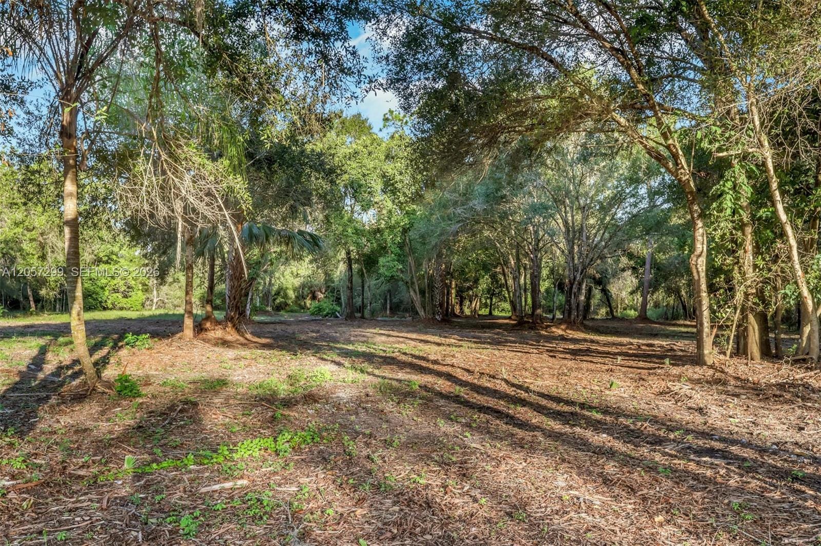 6700 Louella Drive, Fort Myers, FL 33905 photo 23