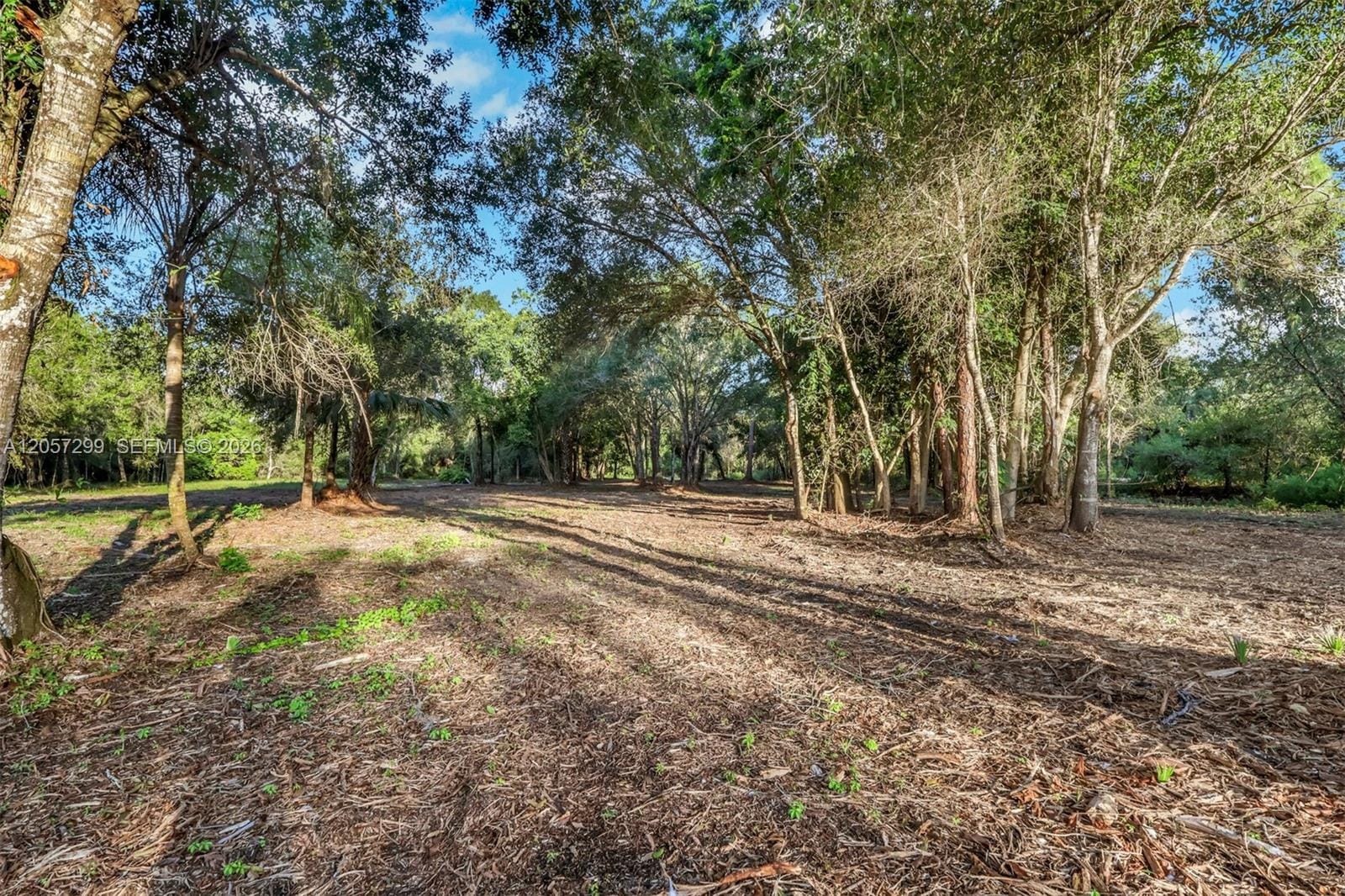 6700 Louella Drive, Fort Myers, FL 33905 photo 24