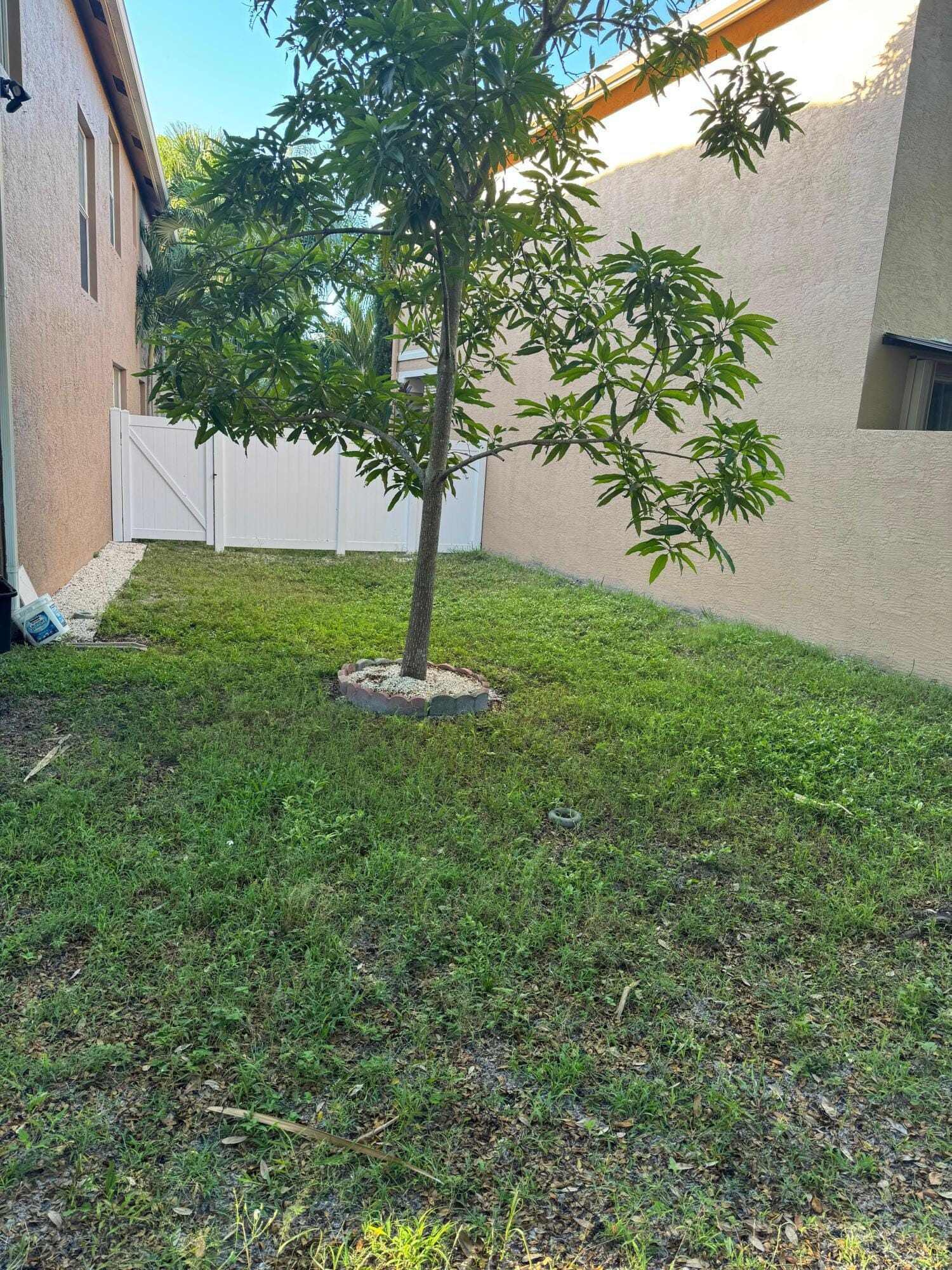 11487 Blue Violet Lane, Royal Palm Beach, FL 33411 photo 14