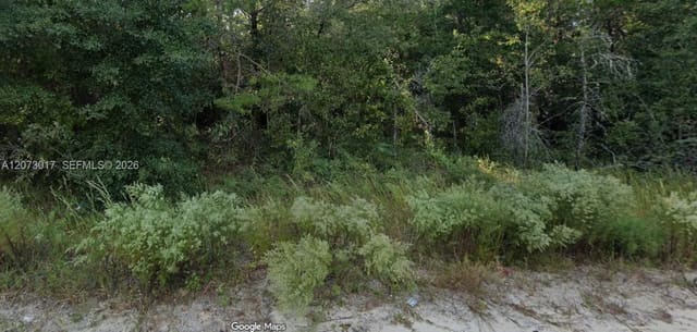 7696 Casa Grande Boulevard, FL 32656